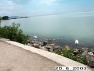 2003